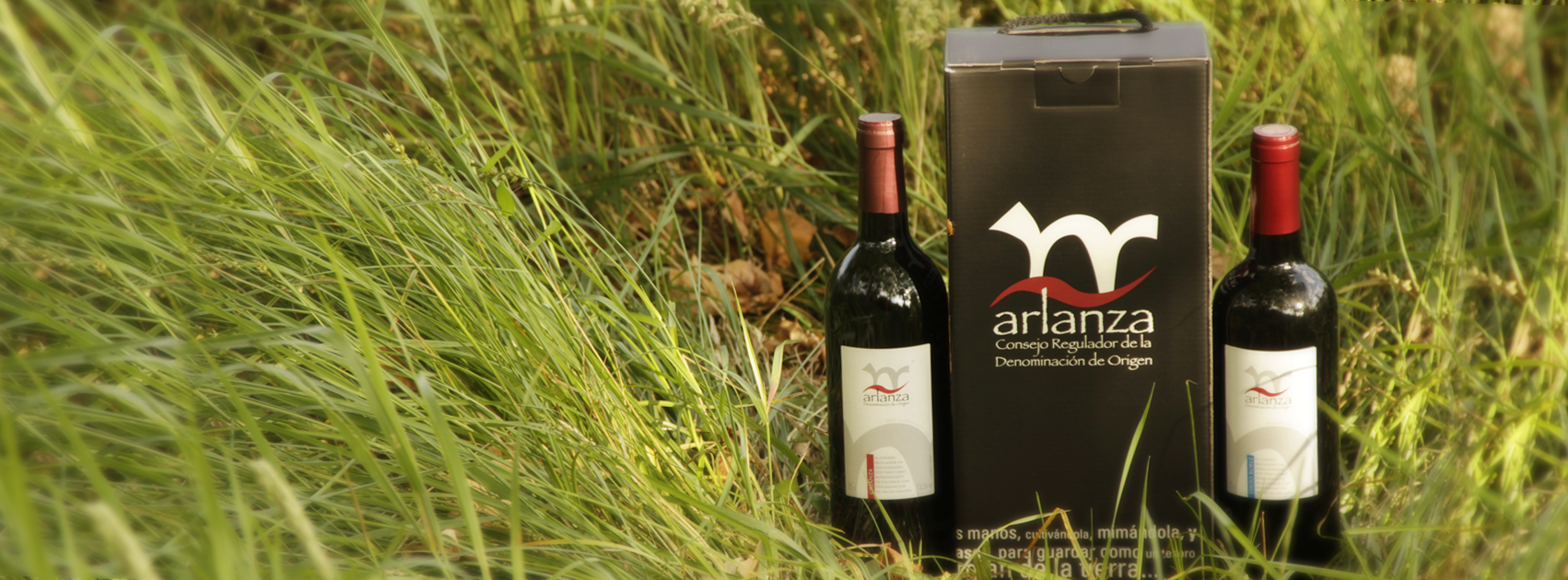 innovación en el vino de Arlanza