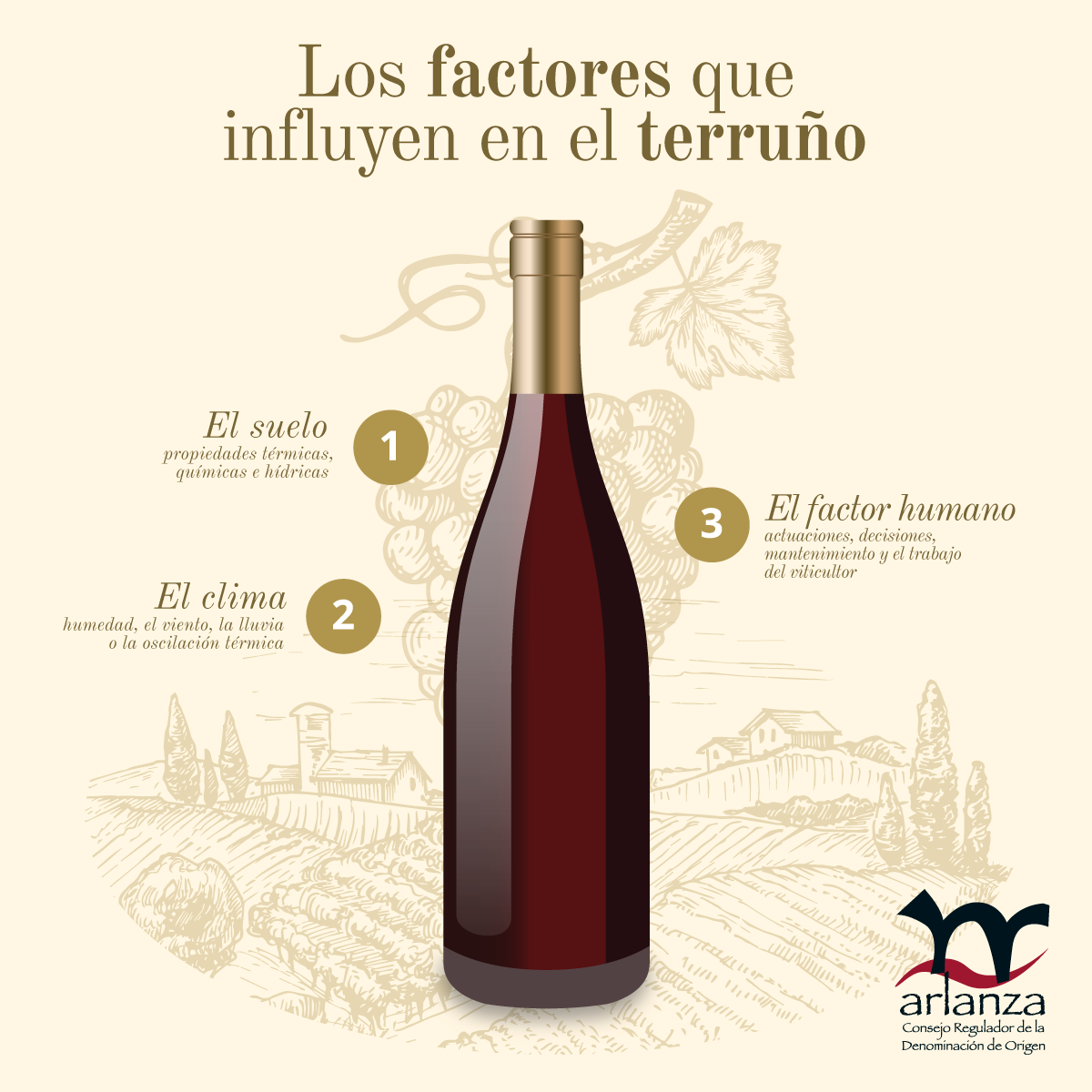 El terruño y los factores que influyen en la vid - D.O. Arlanza